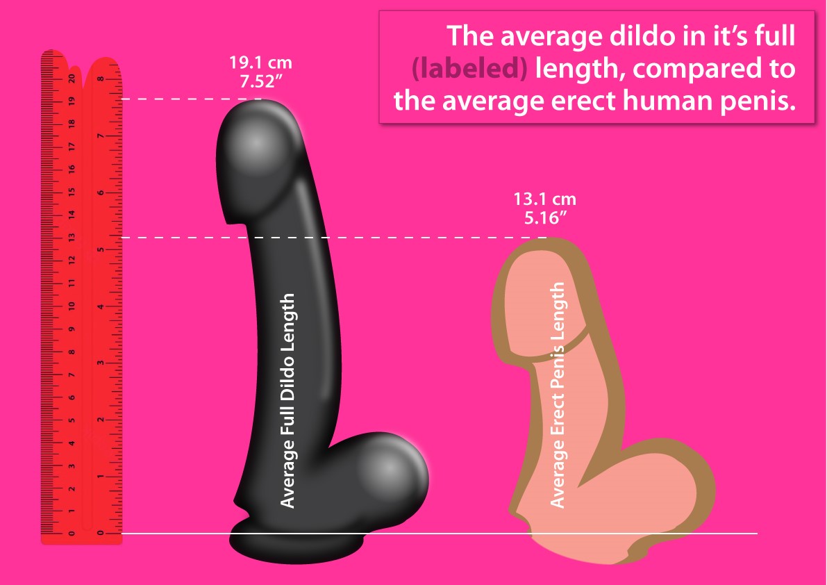 Average dildo girth