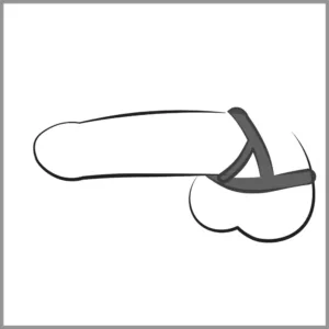 bad kitty cock and ball ring usage graphic