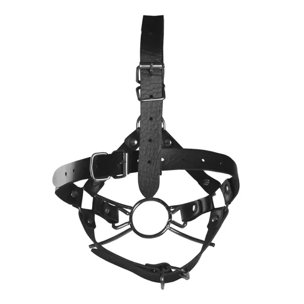 ouch xtreme head harness with spider gag and nose hooks back