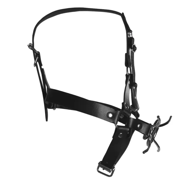 ouch xtreme head harness with spider gag and nose hooks side