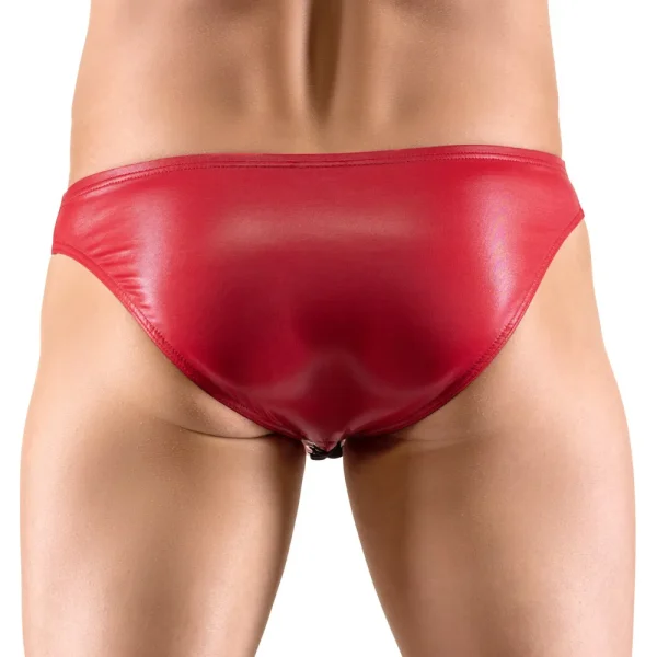 A person wearing Svenjoyment Red Briefs, shown from the back. The glossy and smooth material emphasizes the lower torso and upper legs, highlighting the fit and texture of the fabric.