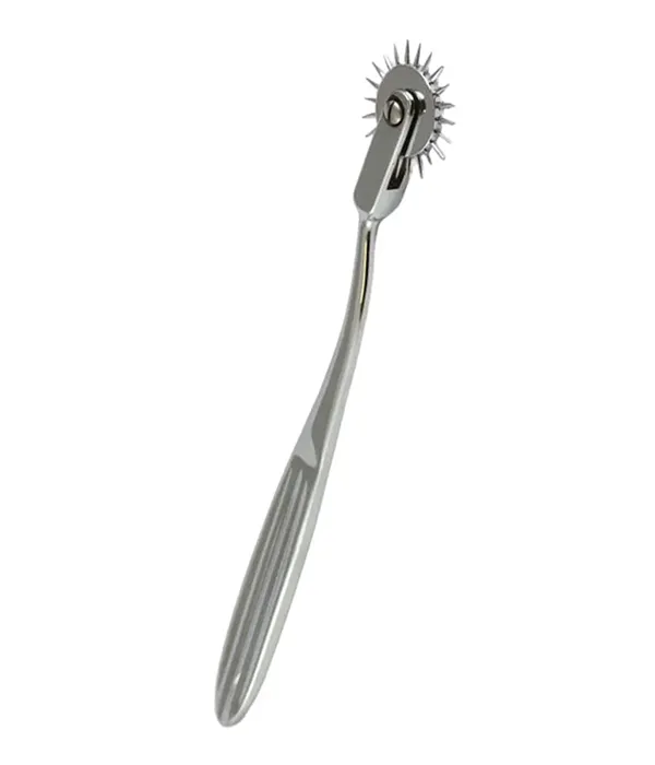 A silver Wartenberg pinwheel with a long handle and a spiked wheel at the top, used for sensory testing or therapeutic massage.