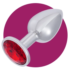 Stainless Steel Anal Play