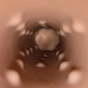 The internal texture inside the Lorich Realistic 9 Inch Vibrating Penis Sleeve.