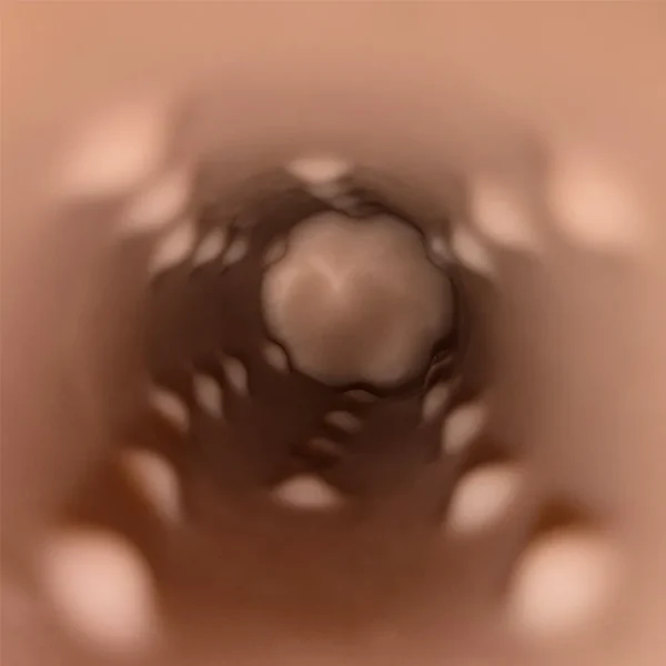 The internal texture inside the Lorich Realistic 9 Inch Vibrating Penis Sleeve.