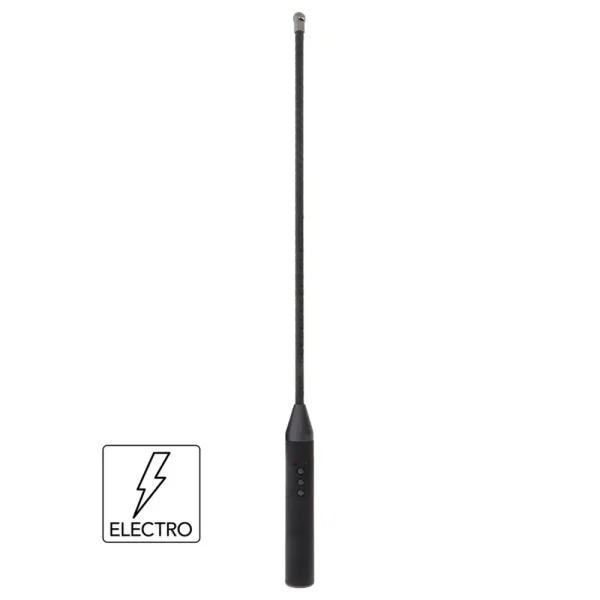 The Hidden Desire Extreme Electro Shock Cane is a long, black electric impact play cane with a thin shaft, handle with two buttons, and a lightning bolt icon plus "ELECTRO" in a box at the bottom left.