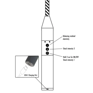 Black and white diagram of the Hidden Desire Extreme Electro Shock Cane with labeled buttons: top for releasing residual electricity, middle for shock intensity 2, bottom for ON/OFF and shock intensity 1; inset displays a USB-C charging port.