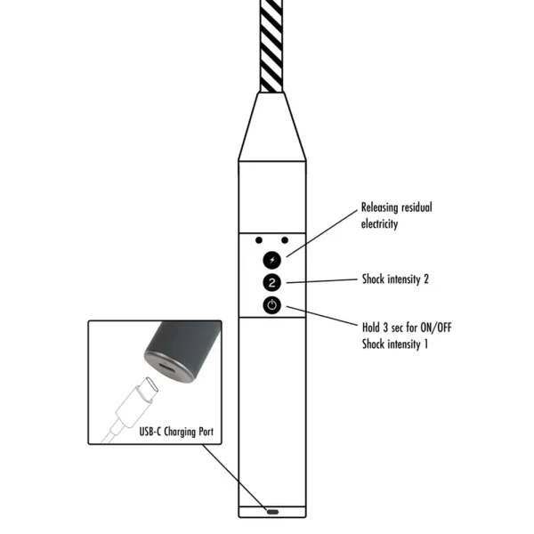 Black and white diagram of the Hidden Desire Extreme Electro Shock Cane with labeled buttons: top for releasing residual electricity, middle for shock intensity 2, bottom for ON/OFF and shock intensity 1; inset displays a USB-C charging port.