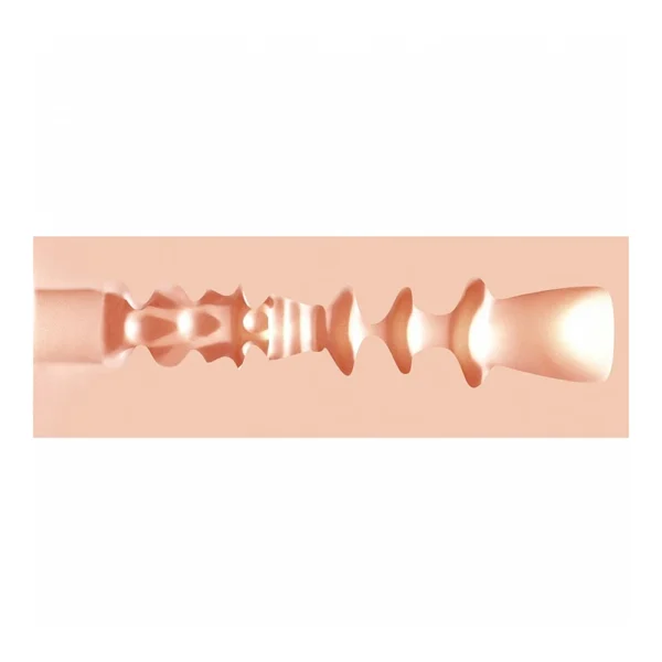 A cross-sectional view of a soft, flesh-coloured tunnel with various ridges, bumps, and chambers along its length, resembling an internal texture pattern.