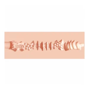 A close-up view of a textured, flesh-coloured, cylindrical object with various ridges, bumps, and wave-like shapes along its length, set against a pale background.