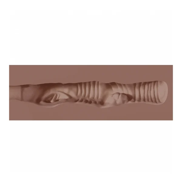 A close-up view of a textured, flesh-toned cylindrical object with grooves, ridges, and folds along its surface, set against a plain brown background.