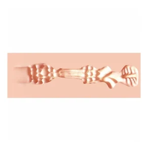 A pink, elongated, and abstract foam object with ridges and bumps along its length, resembling an anatomical or organic form, placed on a pale pink background.