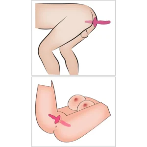 Two illustrated diagrams showing a pink strap-on dildo in use, displayed from different angles on simplified nude body illustrations.