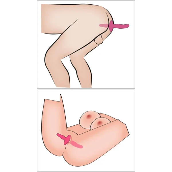 Two illustrated diagrams showing a pink strap-on dildo in use, displayed from different angles on simplified nude body illustrations.